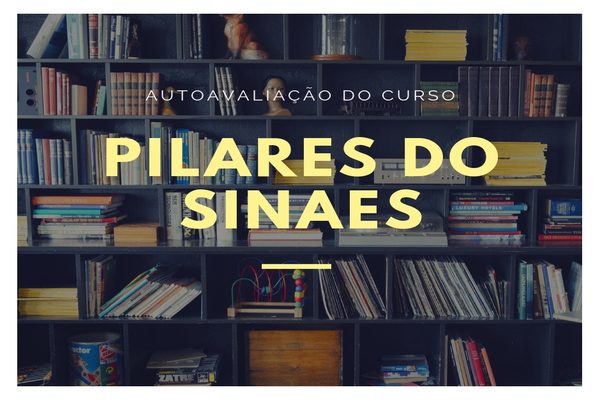 Autoavaliação do Curso: Pilares do SINAES